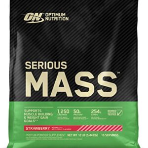 Optimum Nutrition Serious Mass 12 lbs
