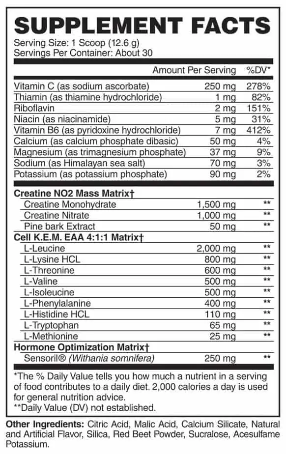 Evogen Cell Kem 30 serv ( creatina + bcaa ) - Imagen 2