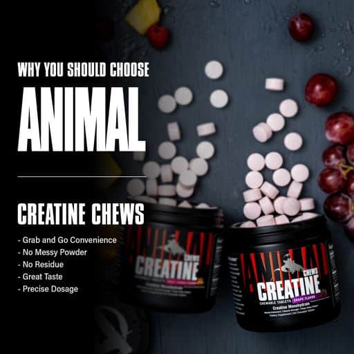 Universal Creatina Masticable ANIMAL Creatine Chews 120 tabletas - Imagen 3
