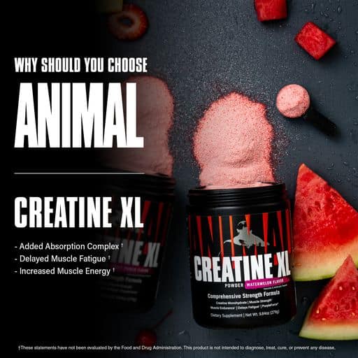 Universal ANIMAL Creatina XL 30 Serv Creatine Super Charged - Imagen 2