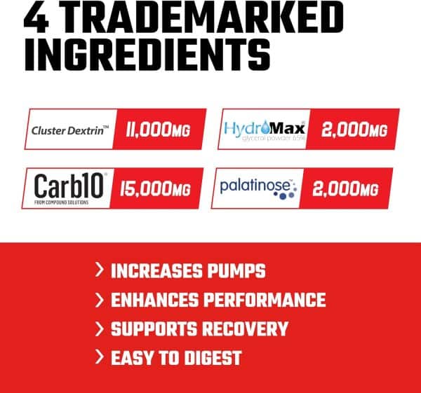 Axe & Sledge Demo Day 30 serv Intra-Workout - Imagen 2