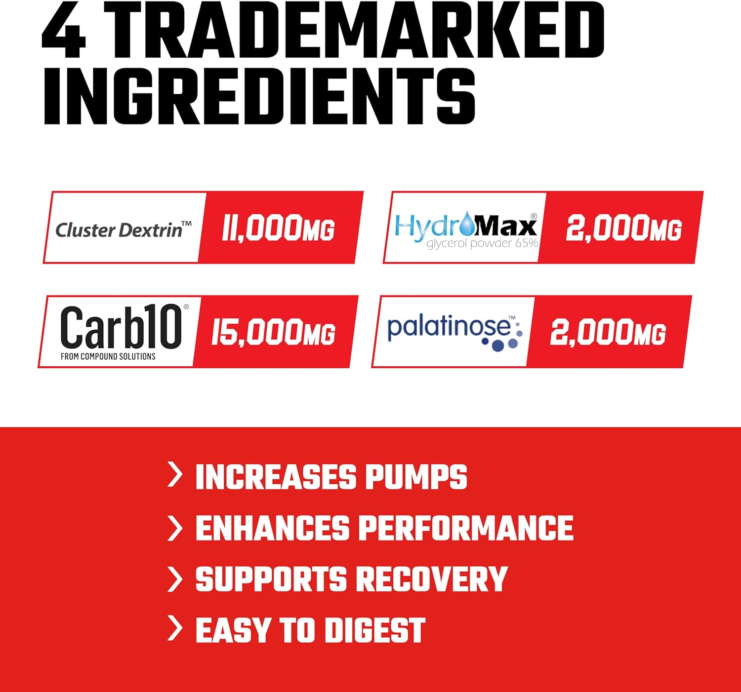Axe & Sledge Demo Day 30 serv Intra-Workout - Imagen 2
