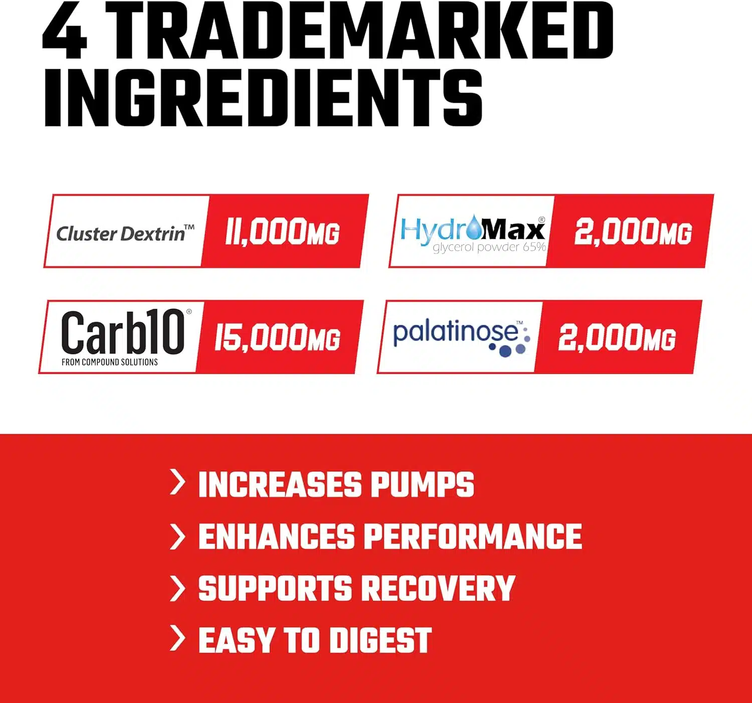 Axe & Sledge Demo Day 30 serv Intra-Workout - Imagen 2